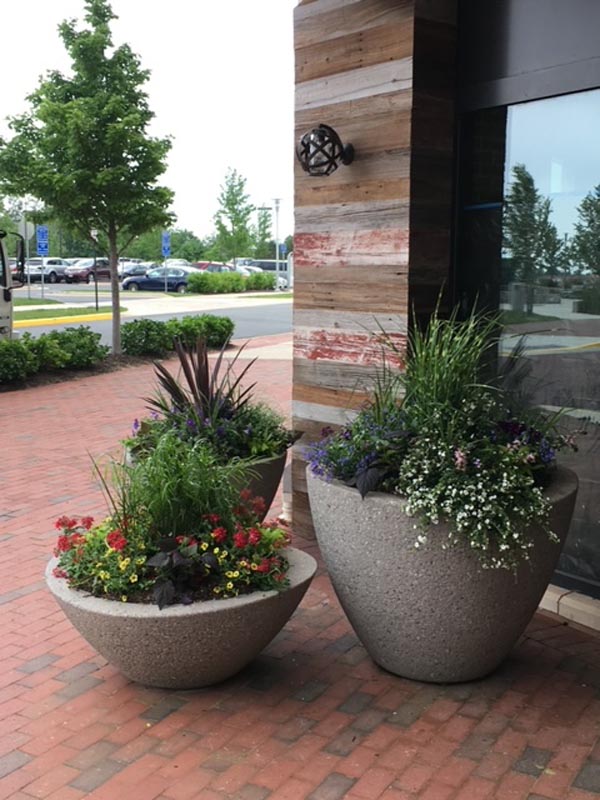 Our Gallery | Sterling, VA | Oasis Plantscaping